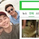 냥스타그램 이미지