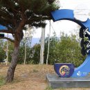 강원 양구 펀치볼 시래기 사과 축제 이미지