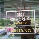 비수구미민박 이미지