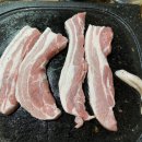 돼지랑돌이랑 이미지