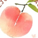 세정농장 이미지