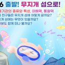 무지개섬