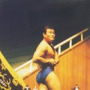 사내 당구클럽 Daum카페