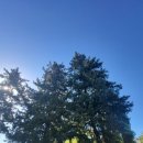 화창사우나 이미지