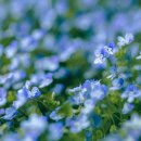 엘한의원 이미지