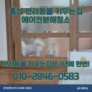 내포클리닝 | [홍성 에어컨청소] 반려동물 털과 냄새 고민? 내포 아파트 분해청소 후기