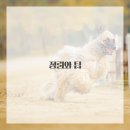 구미덴트하우스