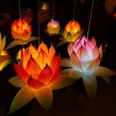 은진추어탕 | 여우가 되자