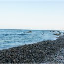 주전넘에화장실 이미지