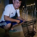 왜관ic실내바다낚시터 이미지