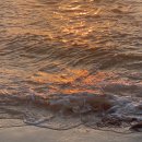 산과바다 이미지