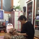 순돌뭐하니 이미지