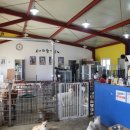 너와함개냥 이미지