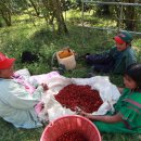 향미농장 이미지