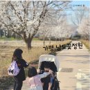 남도정비 | [가평 남도꽃정원 벚꽃 나들이] 삼남매와 함께한 봄꽃 여행 후기