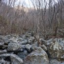 지리산 외갓집 이미지