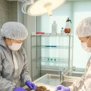 충청북도동물위생시험소 이미지