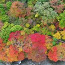 (주)산지
