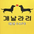 개날라리 네이버블로그