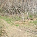 유림삼거리 이미지