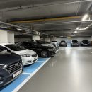 디딤돌 언어심리 치료실 | 안양심리상담 디딤돌심리상담센터에서 부부상담 받고 온 후기