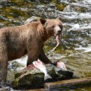 (주)야생 이미지