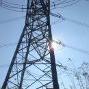 오금1리 이미지