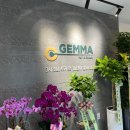 젬마의원 이미지