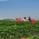 사계절농장 이미지