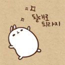 여왕벌 PC 이미지