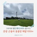 1050 | 휘닉스파크 관광 곤돌라 해발 1050m 몽블랑 정상 힐링 후기 아이와 평창 여행(33개월&amp;13개월 아기랑)