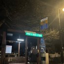 국수나무(유스퀘어점) | 크리스마스 담양(죽녹원) - 대전(성심당) - 서울 국토종단(?) 일기