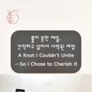 매듭의 조형 이미지