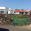 하모리-10 이미지