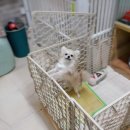 호텔온 이미지