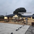 휴퐁낭스테이 | 휴퐁낭스테이 능이동｜제주 동쪽 구좌 송당마을 감성 인테리어 독채 숙소 4인 가족여행 솔직 숙박 후기