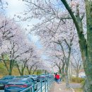 세븐일레븐 평택은혜로점 이미지