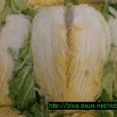 동해바다횟집 이미지