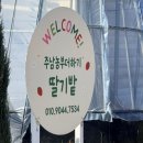 주남농장 | [창원] 딸기체험, 주남농부더하기
