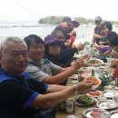 솜니움트리 이미지