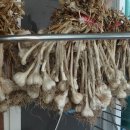 (주)에스팀메디칼 이미지