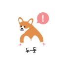 멍편한세상 이미지