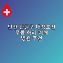 안산 단원구 대상포진 무릎 허리 어깨 병원 추천 저렴한곳 비용 후기