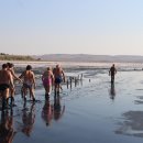 힐라이트 이미지