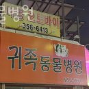 귀족동물병원 | 수원 영화동 동물병원 귀족동물병원 진료시간 접근성 이용후기