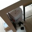 강림한의원 이미지