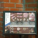 토마토약국 | 대봉동 양고기 맛집 징기스 데이트 술한잔 하기 좋은곳 추천!