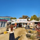 두물머리화장실(나루터) | 가을에 더욱 빛나는 여행지, 두물머리 단풍구경 그리고 연핫도그