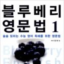 블루베리 출판사