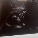 조은연세산부인과의원 이미지